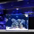 Alta potencia 48W Aquarium LED de agua salada de agua salada